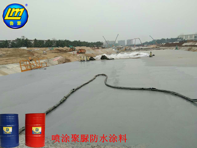 魯蒙公司組織員工觀看2020防水行業(yè)大會(huì)直播